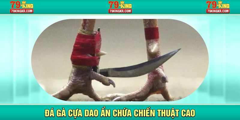 Đá gà cựa dao ẩn chứa chiến thuật cao
