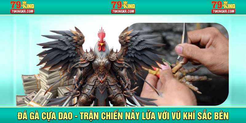 Đá gà cựa dao