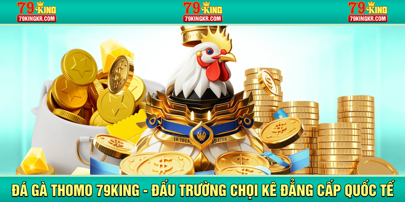 Đá gà Thomo 79King