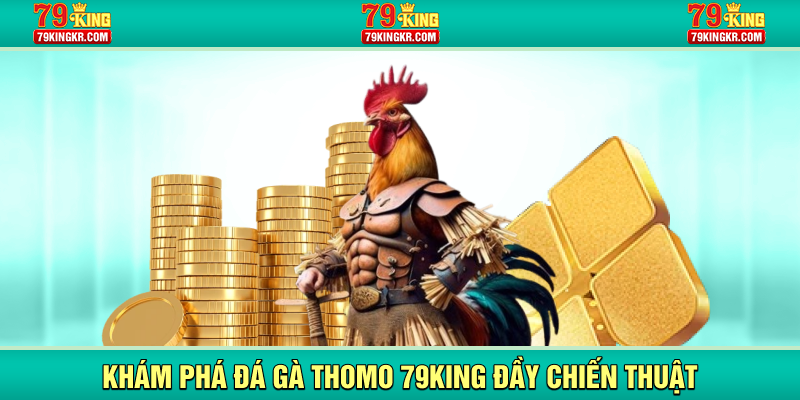 Khám phá đá gà Thomo 79KING đầy chiến thuật