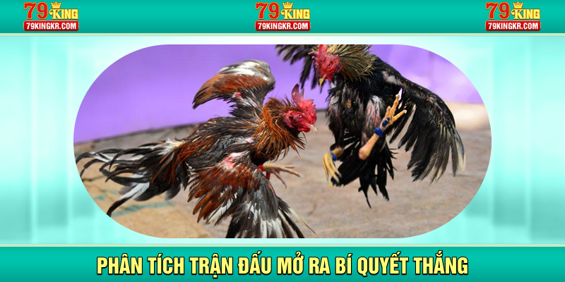 Phân tích trận đấu mở ra bí quyết thắng