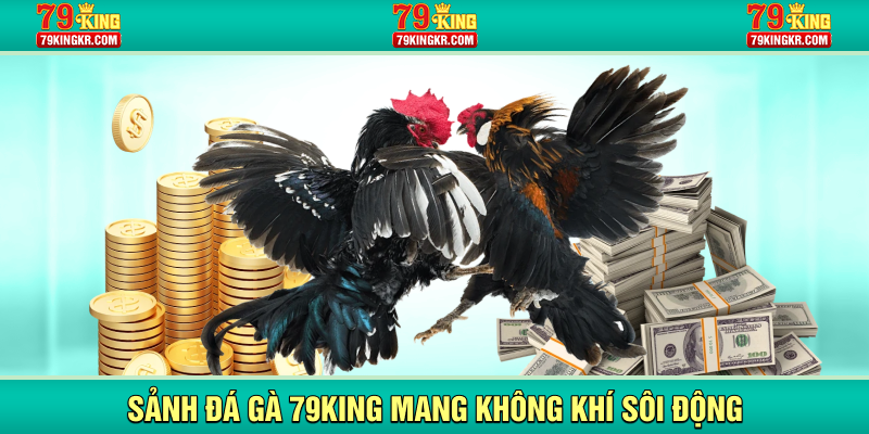 Sảnh đá gà 79KING mang không khí sôi động