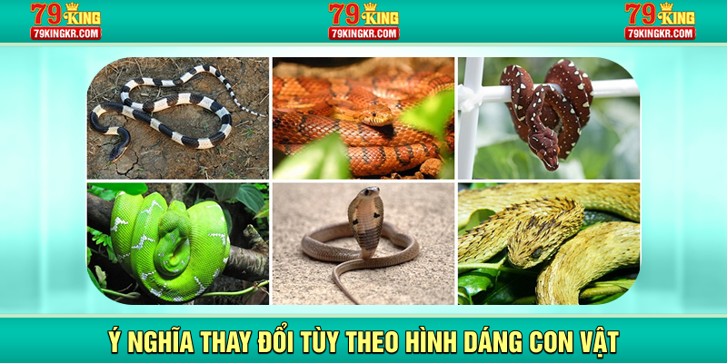 Ý nghĩa thay đổi tùy theo hình dáng con vật
